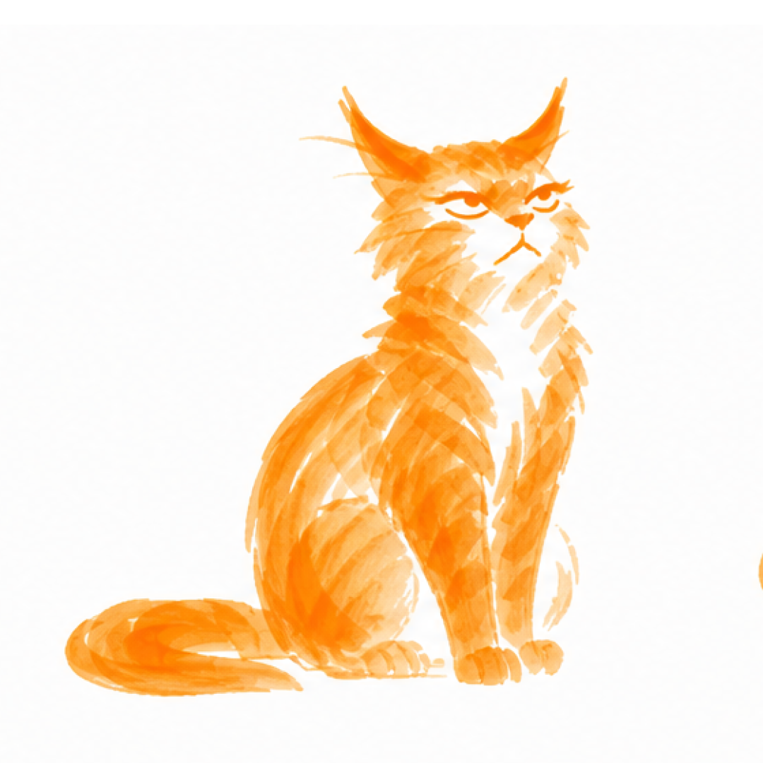 Gato Zooming