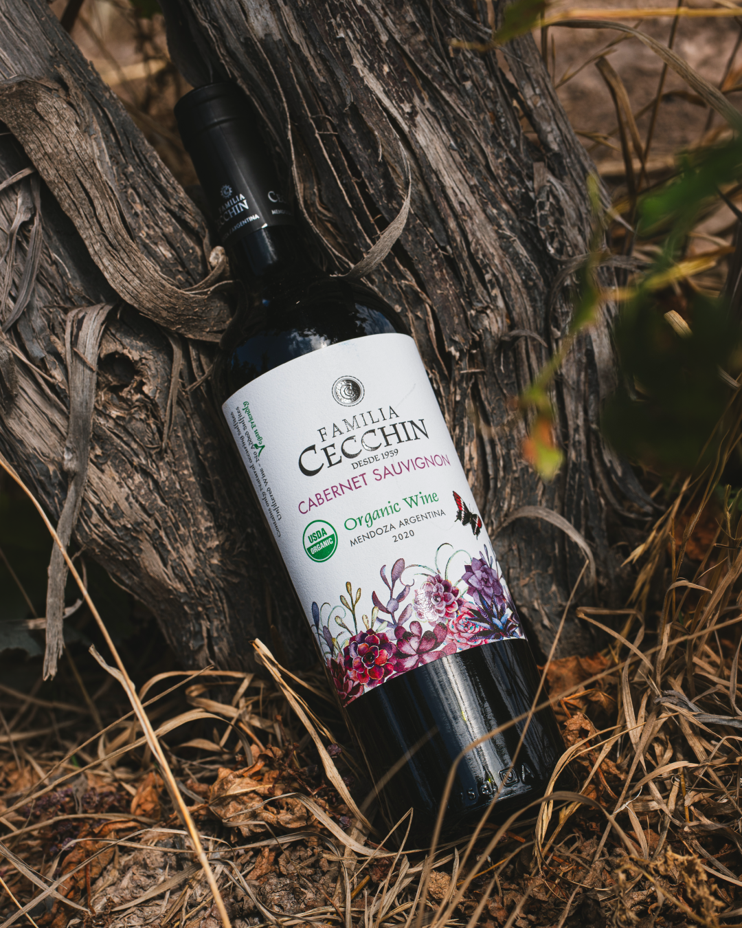 Bodega Familia Cecchin