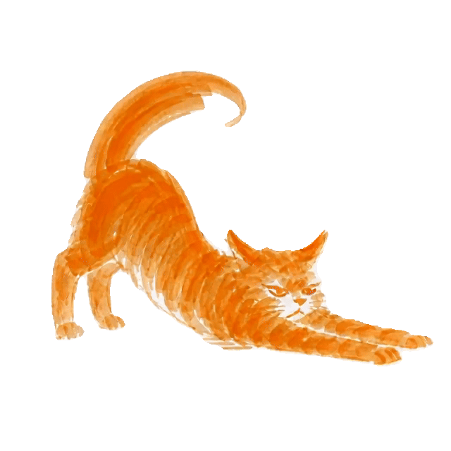 Miel, gato Zooming